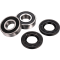 (image for) Front Wheel Bearing Kit - BMW
