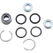 (image for) Lower Shock Bearing Kit