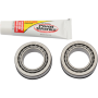 (image for) Pivot Works Steering Stem Bearing Kit - SS-S04-421