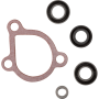 (image for) ProX Water Pump Repair Kit