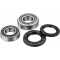 (image for) Factory Links OEM Series Rear Wheel Bearing Kit 0215-1216