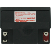 (image for) Parts Canada AGM Maintenance-Free Battery 2113-0094