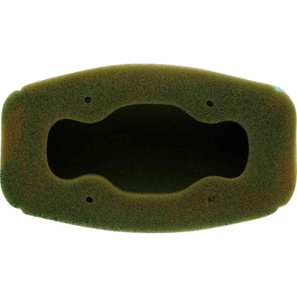 (image for) Twin Air Pre-Oiled Filter 1011-4906