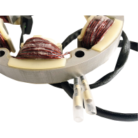 (image for) Lithium-Ion Friendly Charging Kit for Honda CB/CL360 74-76