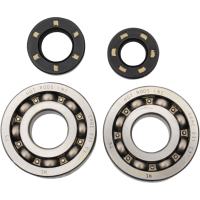 (image for) Main Bearing and Seal Kit - KAWASAKI KX250 02-07