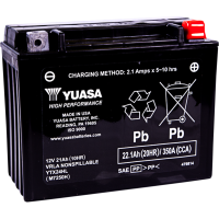 (image for) Yuasa High-Performance Factory-Activated AGM Battery YTX24HL