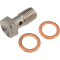 (image for) Single Banjo Bolt for Honda, Kawasaki, Suzuki 02-10, Triumph, Yamaha, 10 mm x 1.25, Stainless Steel
