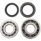 (image for) Main Bearing and Seal Kit - HONDA CRF450R 02-05