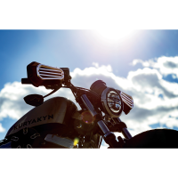 (image for) Dillinger Handguards Silver