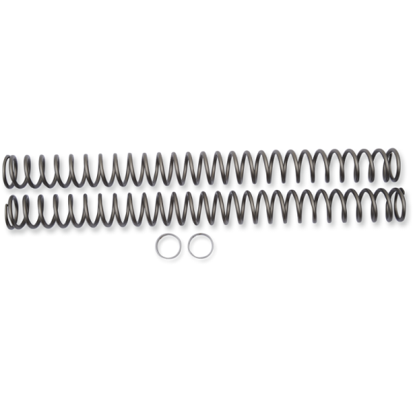 (image for) Race Tech Fork Spring 0405-0832