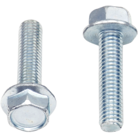 (image for) Replacement 10mm Hex-Head Flange Bolt M6 x 1.0 x 25