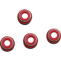 (image for) Kibblewhite Viton Valve Seals