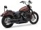 (image for) RPT Slip-On Mufflers, Raven Black