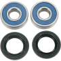 (image for) Front Wheel Bearing and Seal Kit