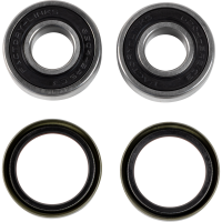 (image for) Race Series Front Wheel Bearing Kit