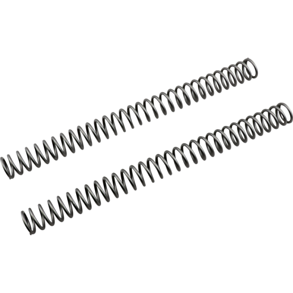 (image for) Race Tech Fork Spring 0405-0156