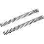(image for) Race Tech Fork Spring 0405-0156