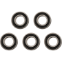 (image for) Rear Bearing Pack (Bearing 62/22 2RS) - 5-Pack