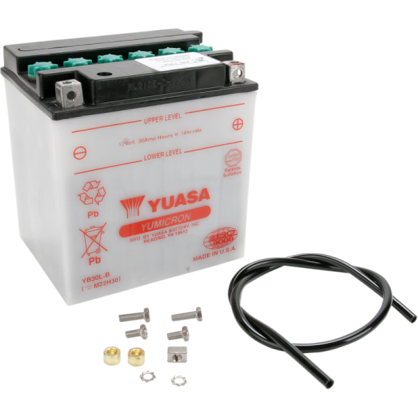 (image for) Yuasa YuMicron Battery YB30L-B
