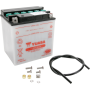(image for) Yumicron Conventional Battery YB30L-B