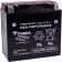 (image for) Yuasa High-Performance AGM Battery 2113-0034