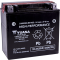 (image for) Yuasa High-Performance AGM Battery 2113-0034