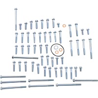 (image for) Engine Fastener Kit - Honda CRF450X 05-17