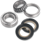 (image for) Steering Stem Bearing Kit 0410-0021