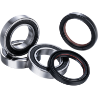 (image for) Race Series Rear Wheel Bearing Kit