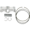 (image for) Wiseco High-Performance Piston Kit - 0910-0334