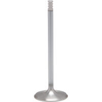 (image for) White Diamond EV8 Exhaust Valve Standard