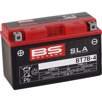 (image for) BS Battery SLA AGM 2113-0619