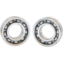 (image for) Outer Cam Bearing Kit (Gear Drive)