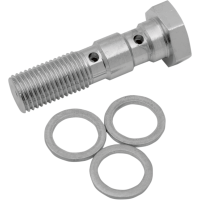 (image for) Chrome Dual Banjo Bolt 3/8"-24