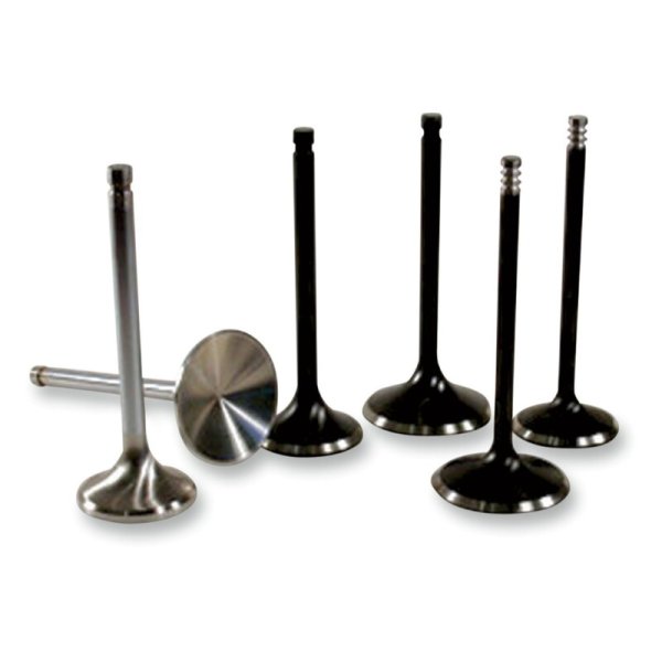 (image for) AV&V Extreme-Duty Tulip Intake Valve