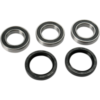 (image for) Rear Wheel Bearing and Seal Kit