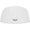 (image for) Clear Windshield (13" H)