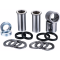 (image for) Factory Links OEM Series Swingarm Bearing Kit - Kawasaki KX250 99-07