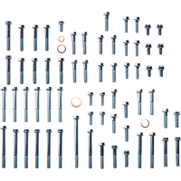 (image for) Engine Fastener Kit - KTM 200 XC-W 06-16
