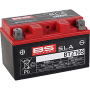 (image for) BS Battery SLA AGM 2113-0621