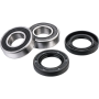 (image for) Front Wheel Bearing Kit - SHERCO