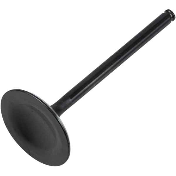 (image for) KIBBLEWHITE Black Diamond Intake Valve