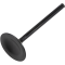 (image for) Black Diamond Intake Valve