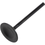 (image for) Black Diamond Intake Valve
