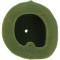(image for) Twin Air Pre-Oiled Filter 1011-4414