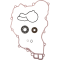 (image for) ProX Water Pump Repair Kit