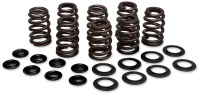 (image for) KPMI Valve Spring Kit 0926-2967