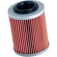 (image for) K&N Performance Oil Filter KN-152