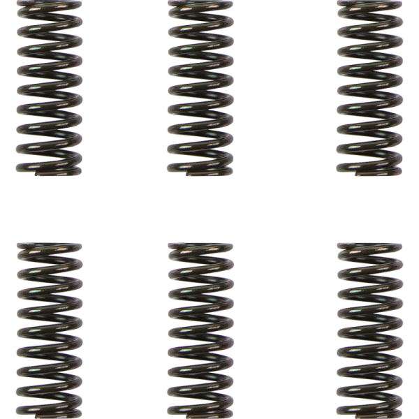 (image for) Barnett Heavy-Duty Spring Set for Ducati 800 S2R 06-07