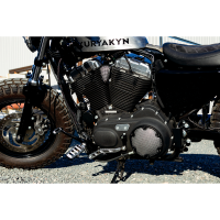 (image for) Dillinger Footpegs Silver